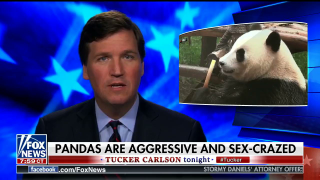 The President's TV Channel Of Choice